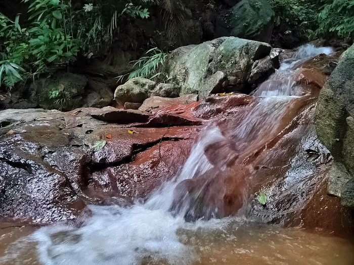 Sungai Long Hiking Picture 4
