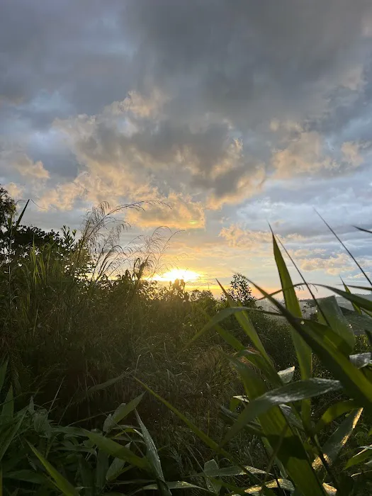 Sungai Long Hiking Picture 7