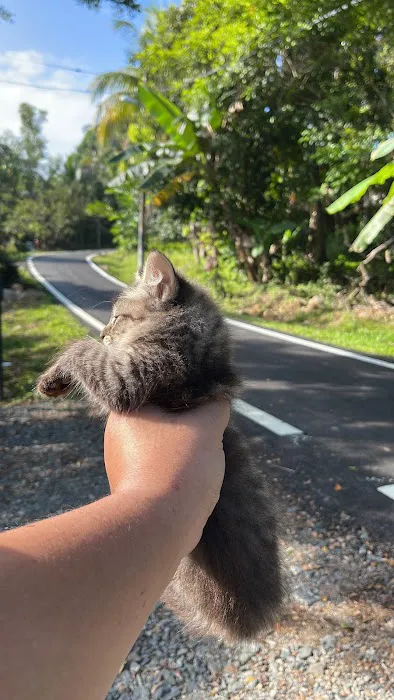 Beranda Cik Imah Picture 7
