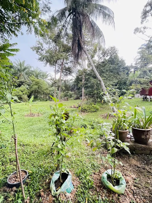 Beranda Cik Imah Picture 8