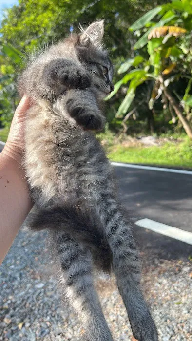 Beranda Cik Imah Picture 6