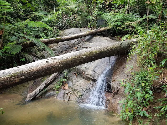 Bukit Kembara Trailhead Picture 2