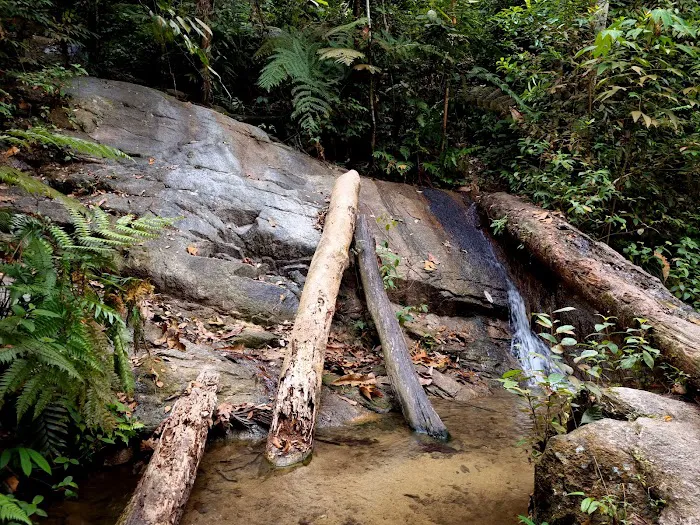 Bukit Kembara Trailhead Picture 6