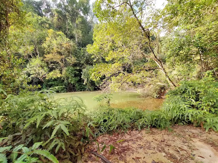 Bukit Kembara Trailhead Picture 5