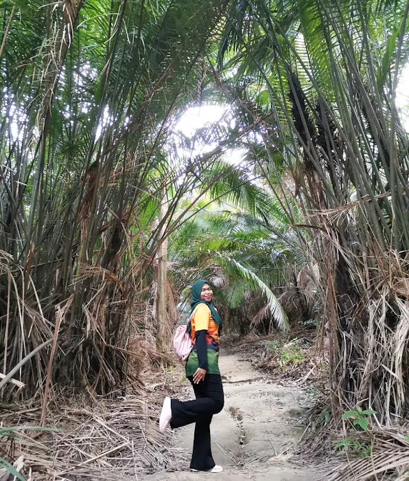 Bukit Kembara Trailhead Picture 7