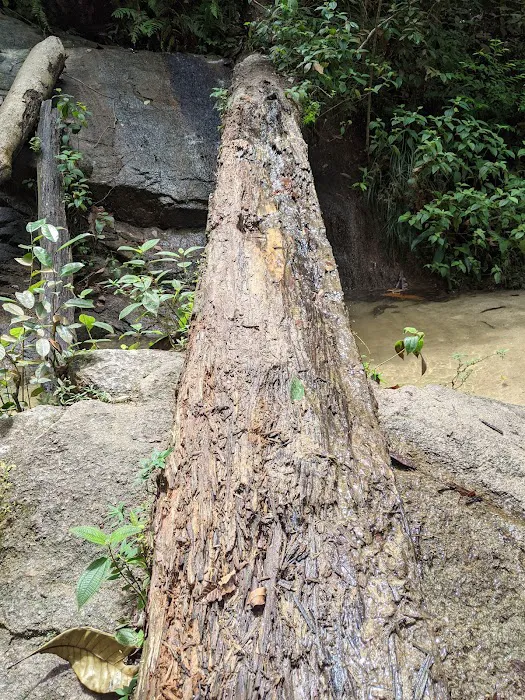 Bukit Kembara Trailhead Picture 9