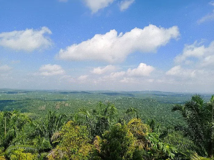 Bukit Kinabalu J12 @ K145 Hill Picture 5