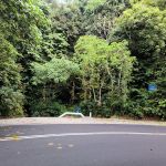 Hiking Trailhead to somewhere
