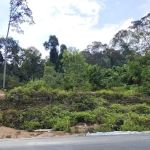 Bukit Belacan Hiking