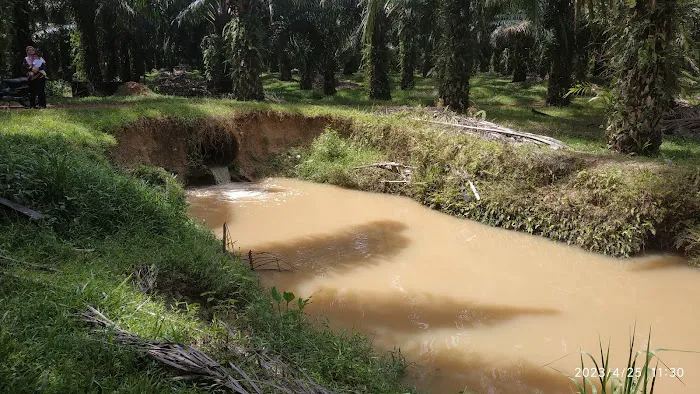 Kongsi Ali Picture 1