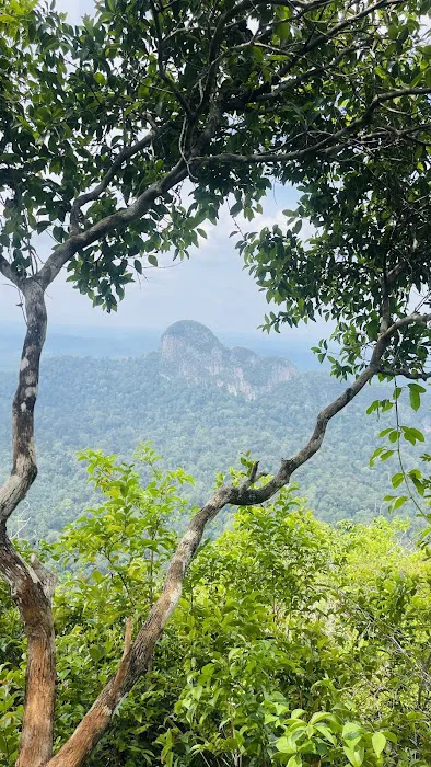 Smiling Mountain Picture 6