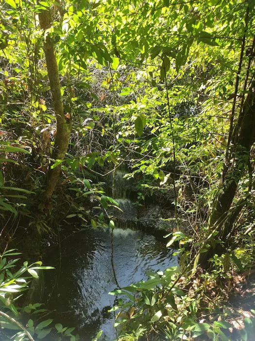 Bukit Indah Ampang (Trailhead) Picture 7