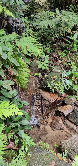 Bukit Indah Ampang (Trailhead) Picture 8