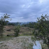 Ooi’s Orchard farm ico