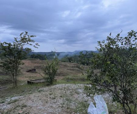 Ooi’s Orchard farm