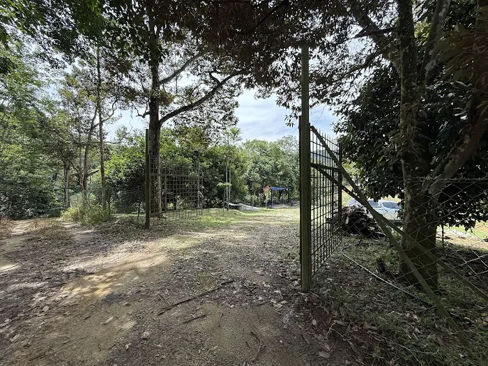 Ooi’s Orchard farm Picture 3