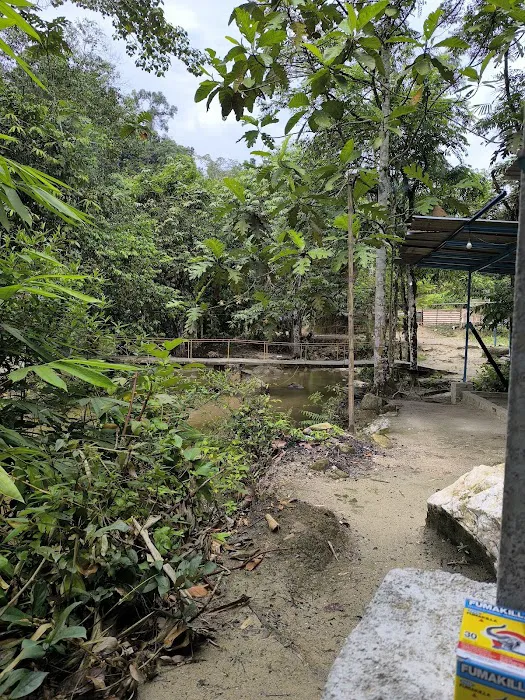 Damai D'Hulu campsite Picture 3