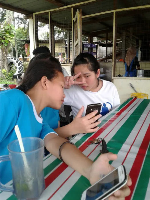 Kopicup grill Picture 3