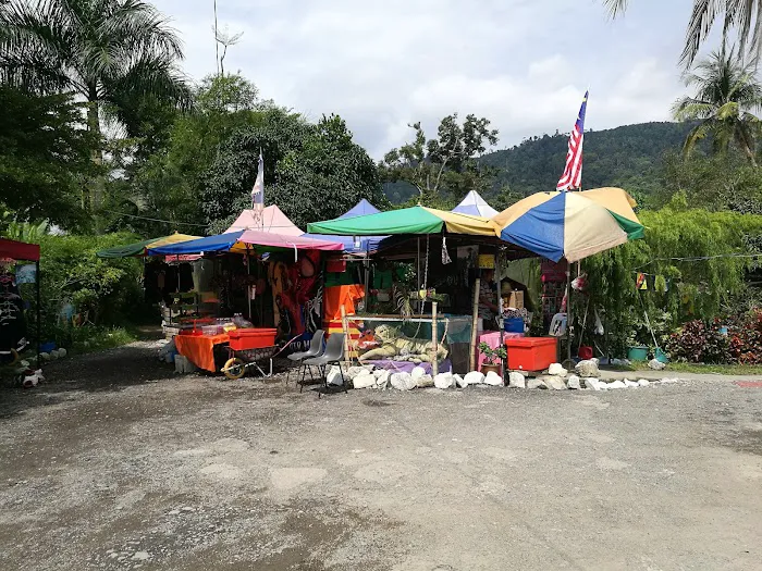 Serai Bamboo Hot Spring Cafe Picture 7