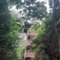 Cerakah tower ico