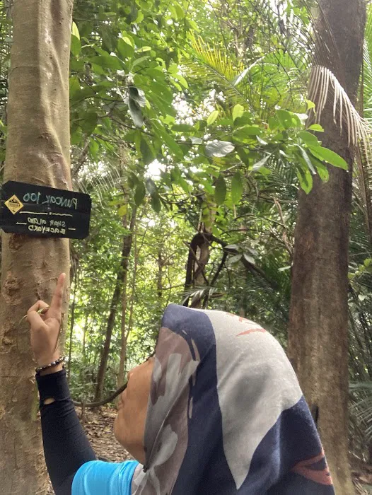 Puncak 100meter Picture 1