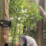 Puncak 100meter