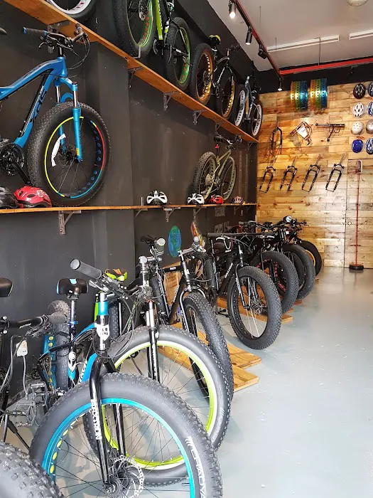FATBIKE. MY - Fat Bike Specialist Picture 3