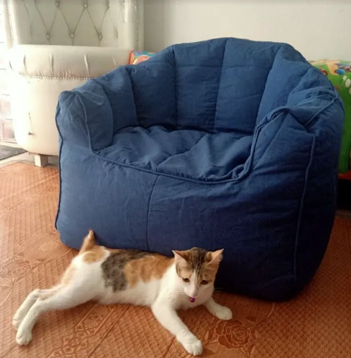 Beanbag.my Picture 4