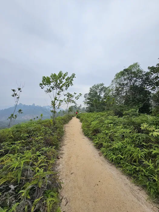 Shah Alam Community Forest Parking (Trail head C) Picture 1