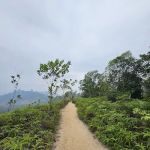Shah Alam Community Forest Parking (Trail head C)