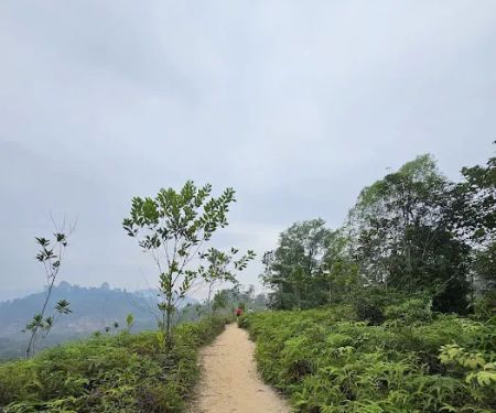 Shah Alam Community Forest Parking (Trail head C)