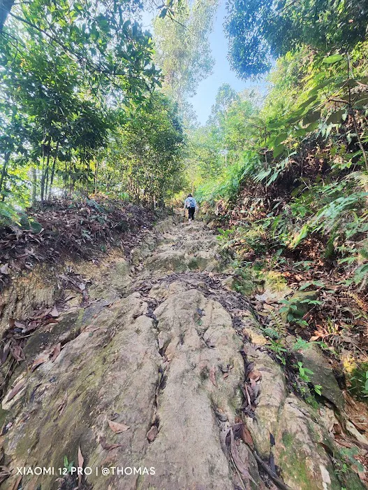 Shah Alam Community Forest Parking (Trail head C) Picture 2