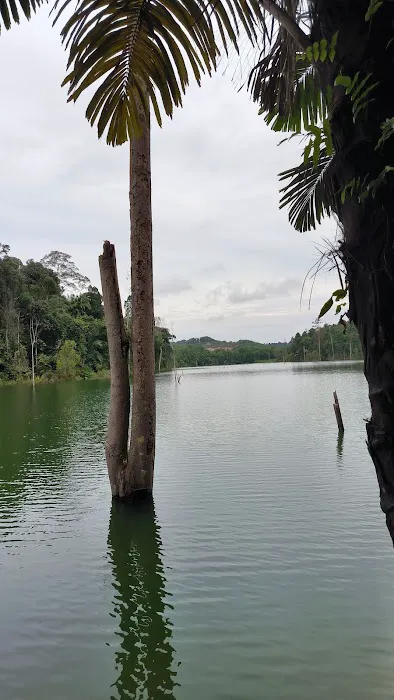 Shah Alam Community Forest Parking (Trail head C) Picture 4