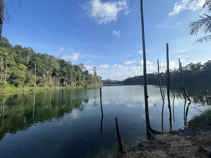 Shah Alam Community Forest Trail Picture 4