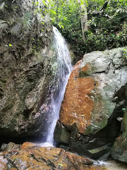 Shah Alam Community Forest Trail Picture 9
