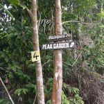 Peak Garden Setia Alam Trail