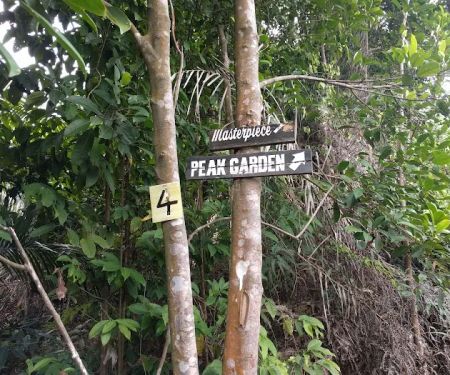 Peak Garden Setia Alam Trail