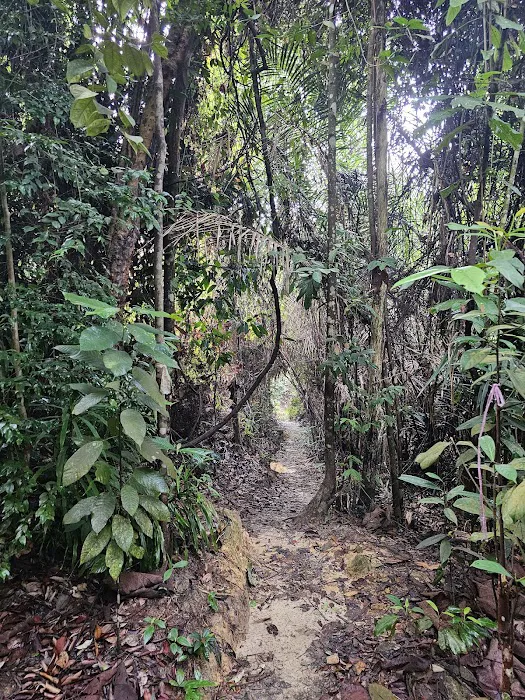 Setia Alam Community Trail Lake Picture 3