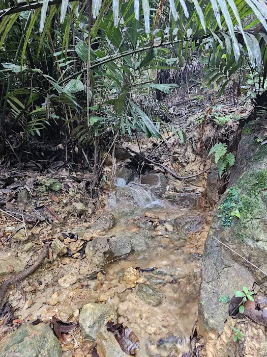 Setia Alam Community Trail Lake Picture 10