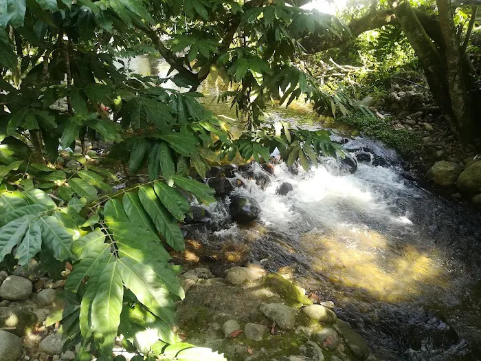 Sifu Area Sungai Congkak Picture 4