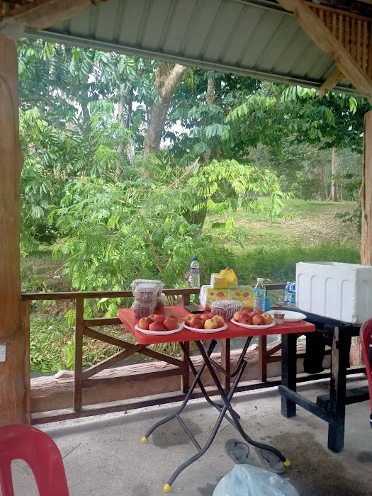 Sifu Area Sungai Congkak Picture 10