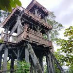 Shah Alam Community Forest Trail