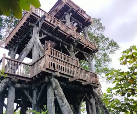 Shah Alam Community Forest Trail