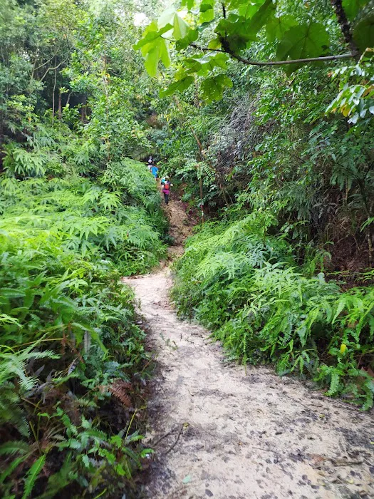 Peak Garden Setia Alam Trail Picture 3
