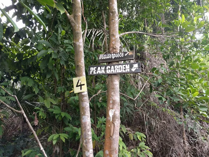 Peak Garden Setia Alam Trail Picture 2