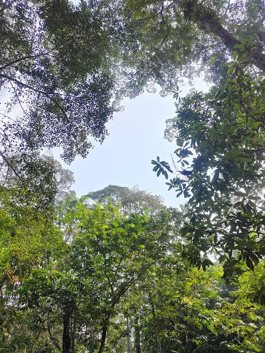 Chongkak Park & Resort by Tourism Selangor Picture 5