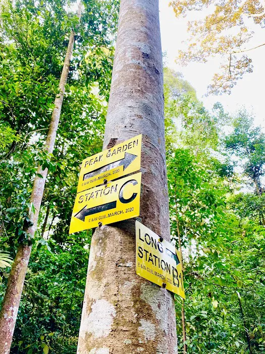 Duta Shah Alam Forest Picture 5