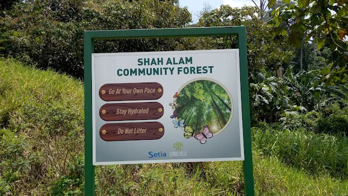 Duta Shah Alam Forest Picture 9