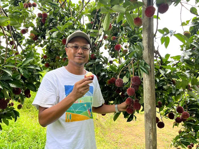 Kebun Langat Picture 3