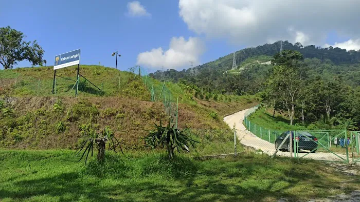 Kebun Langat Picture 2